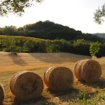 ファームステイ Sorelle Biologiche Monte Castello di Vibio