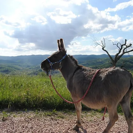 Vakantieboerderij Sorelle Biologiche *