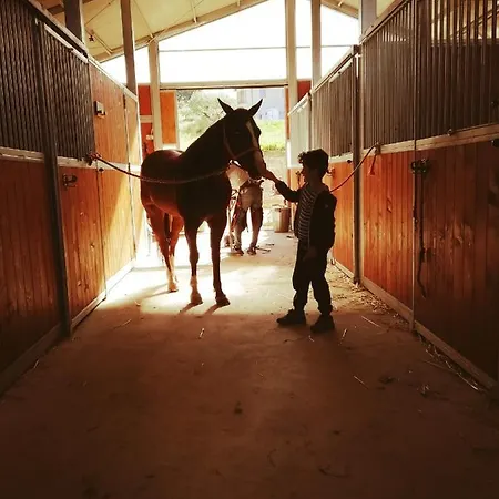 Sorelle Biologiche ファームステイ Monte Castello di Vibio