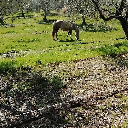 Sorelle Biologiche Farm stay *