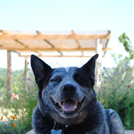 Sorelle Biologiche ファームステイ Monte Castello di Vibio