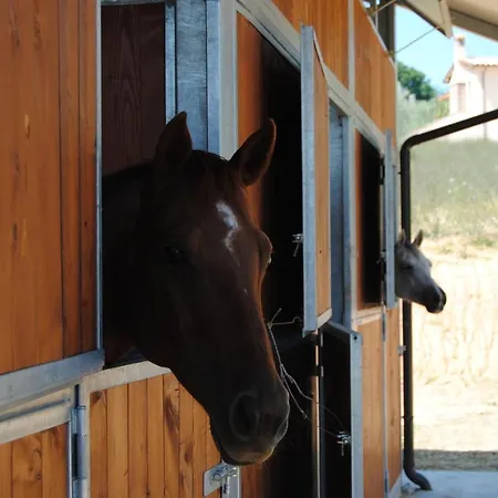 Sorelle Biologiche Farm stay *
