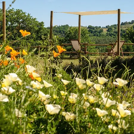 Sorelle Biologiche * Monte Castello di Vibio