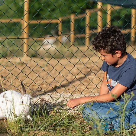 ファームステイ Sorelle Biologiche