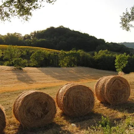 ファームステイ Sorelle Biologiche Monte Castello di Vibio