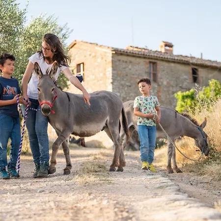 Sorelle Biologiche ファームステイ *