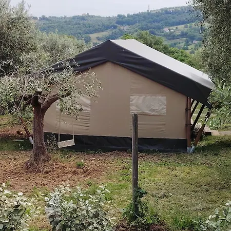 Sorelle Biologiche *