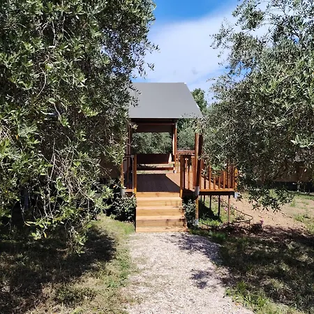 Sorelle Biologiche Monte Castello di Vibio