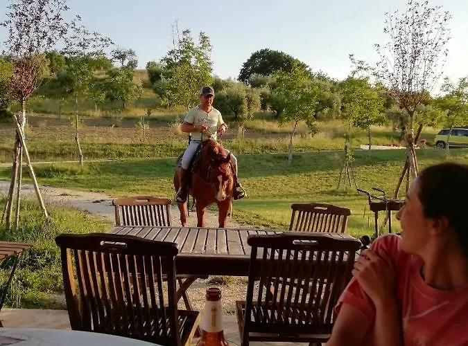 Sorelle Biologiche *