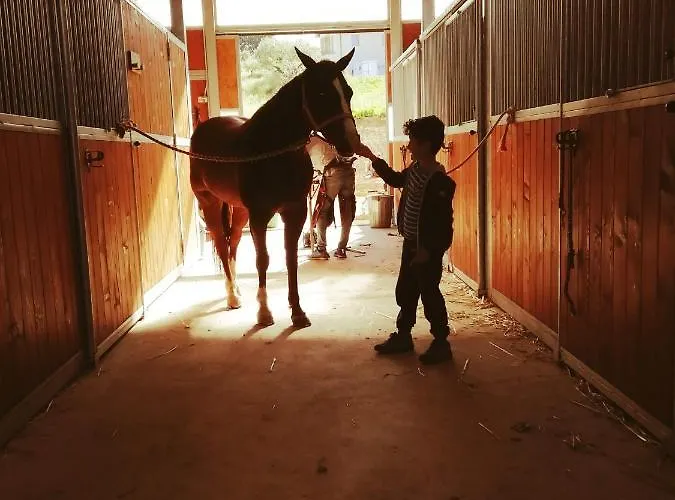 Sorelle Biologiche Alloggio per agriturismo Monte Castello di Vibio