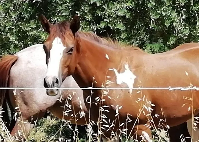 Sorelle Biologiche Alloggio per agriturismo