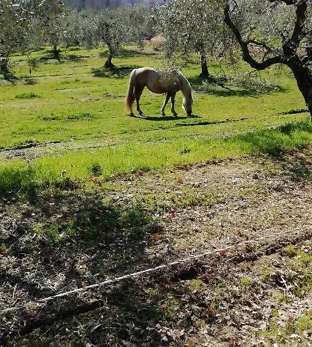 Sorelle Biologiche Alloggio per agriturismo *