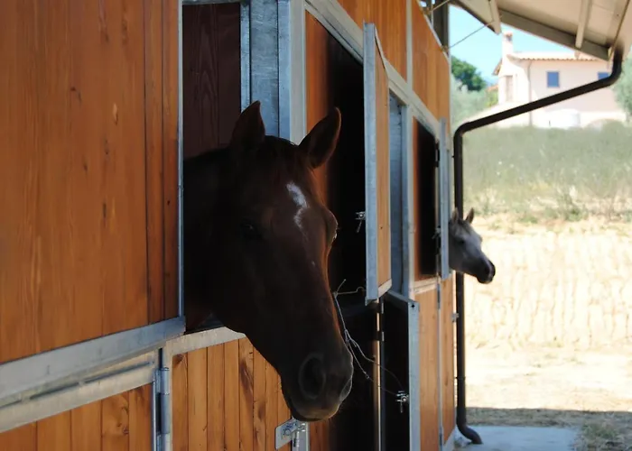 Sorelle Biologiche Alloggio per agriturismo *