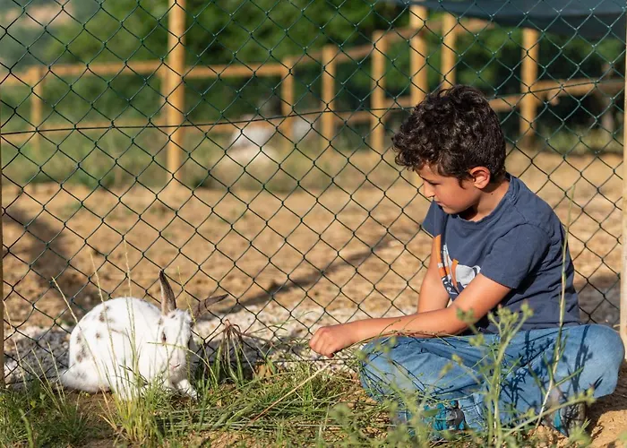 Alloggio per agriturismo Sorelle Biologiche