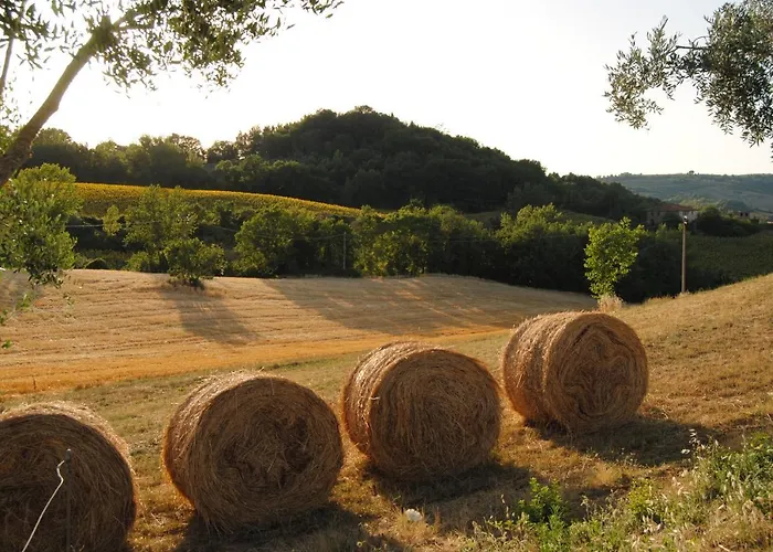 Alloggio per agriturismo Sorelle Biologiche Monte Castello di Vibio