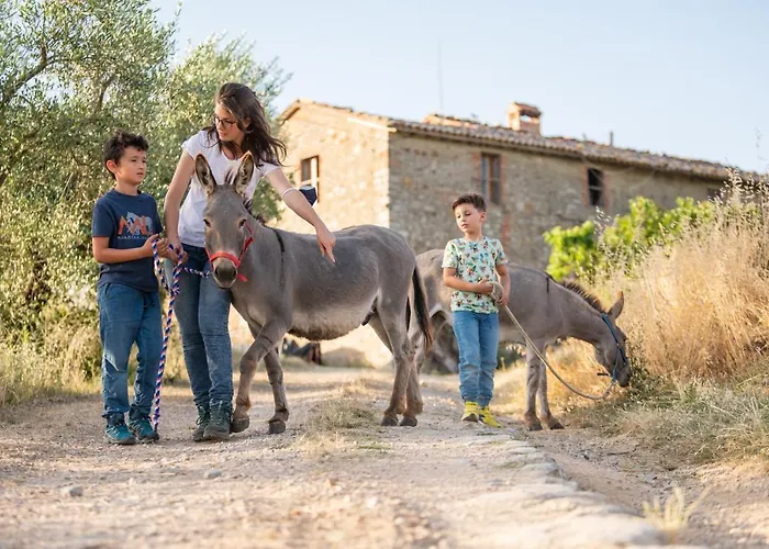 Sorelle Biologiche Alloggio per agriturismo *