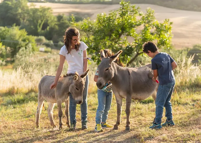 Alloggio per agriturismo Sorelle Biologiche