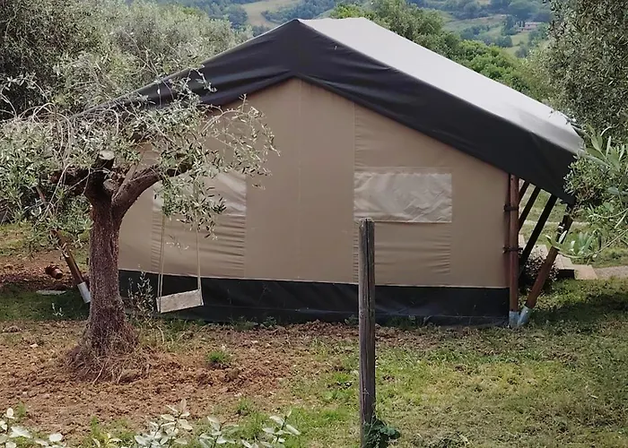 Sorelle Biologiche *